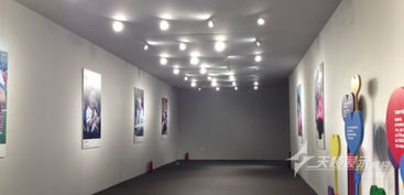 2013年成都寶馬愛心基金活動(dòng) 車系項(xiàng)目策劃與展覽展示紀(jì)實(shí)