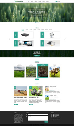 武漢鈦聯(lián)信息技術(shù)官網(wǎng)設(shè)計定稿 構(gòu)建專業(yè)高效的企業(yè)官網(wǎng)平臺